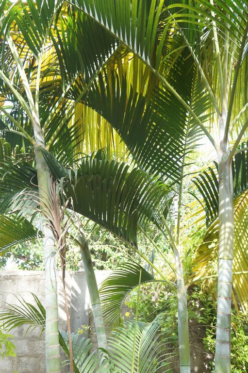 Little White House Hotel Trincomalee Exterior foto